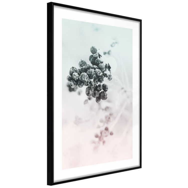 Wall Poster Frozen Twig - plant with dark berries on pastel background 124947 additionalImage 11