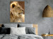 Poster Sunny Siesta - portrait of a tropical lion in its natural environment 126247 additionalThumb 2
