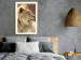 Poster Sunny Siesta - portrait of a tropical lion in its natural environment 126247 additionalThumb 13