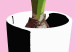 Poster Floral Delicacy - plant in a pot on a pink pastel background 127247 additionalThumb 3