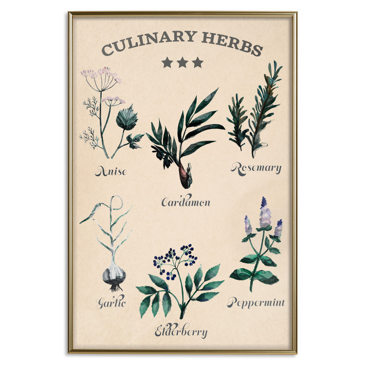 Poster Kitchen Herbs - composition of edible plants with black labels 129547 additionalImage 17