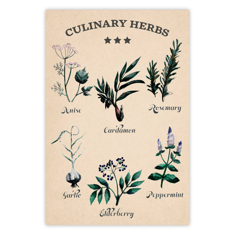 Poster Kitchen Herbs - composition of edible plants with black labels 129547