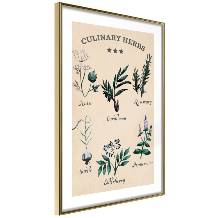 Poster Kitchen Herbs - composition of edible plants with black labels 129547 additionalImage 7