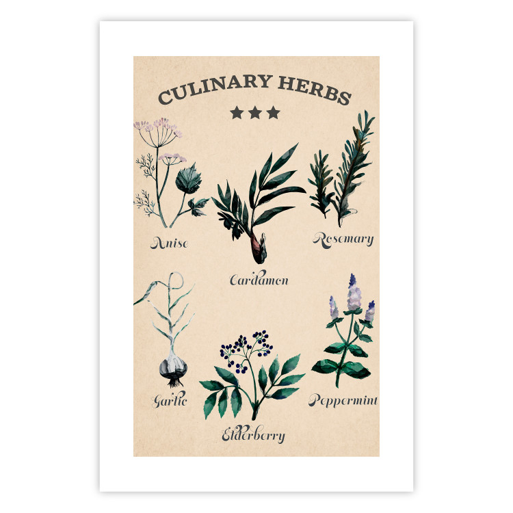 Poster Kitchen Herbs - composition of edible plants with black labels 129547 additionalImage 19