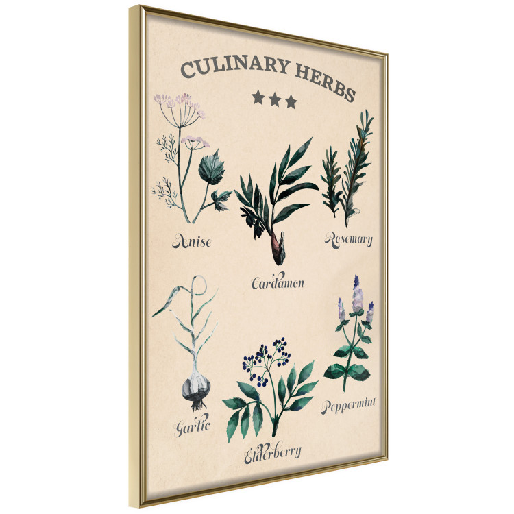 Poster Kitchen Herbs - composition of edible plants with black labels 129547 additionalImage 12