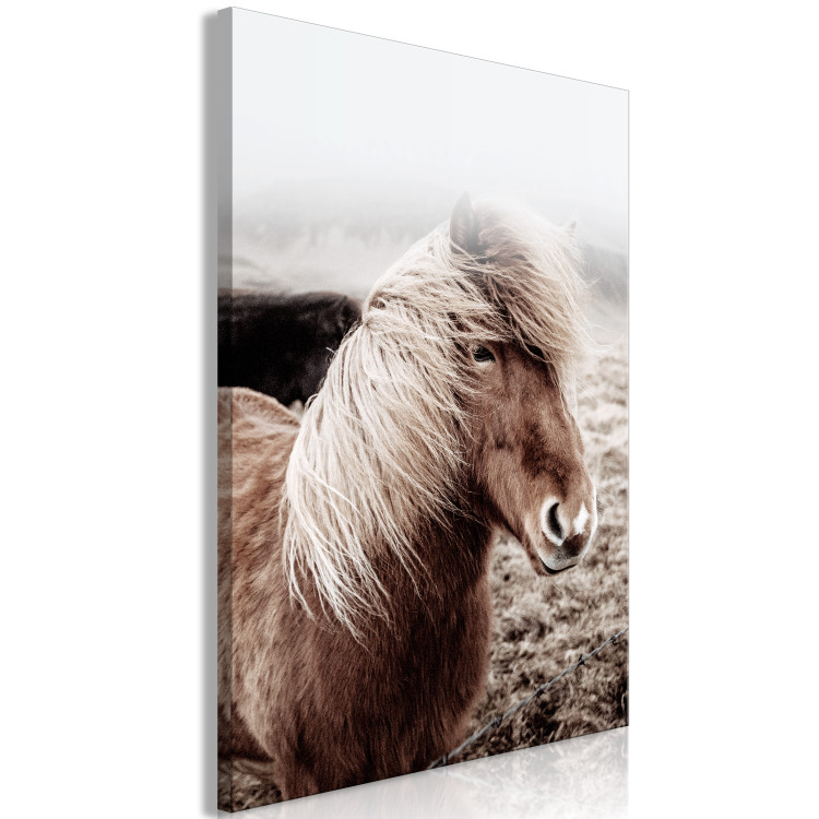 Canvas Print Against the Wind (1-piece) Vertical - horse in a portrait photograph 130247 additionalImage 2