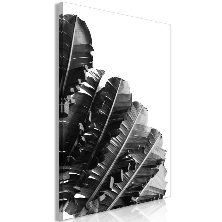 Canvas Banana leaves - a line of leaves on a white background 135547 additionalImage 2