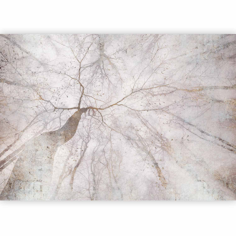 Wall Mural Mist - landscape with tree crown in grey with gold elements 143447 additionalImage 1