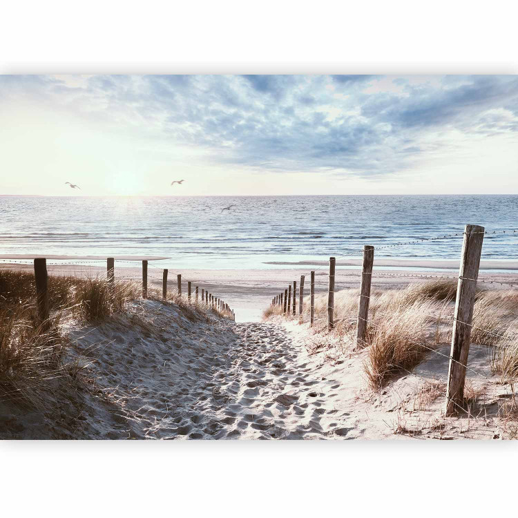 Wall Mural Windy sand - landscape with beach and calm sea at sunset 143947 additionalImage 1