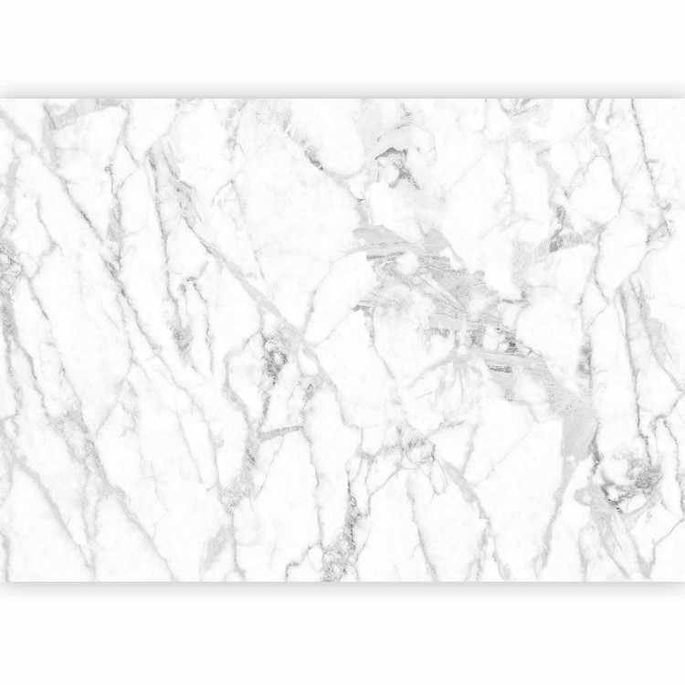 Wall Mural Elegant Rock Wall - White Marble Slab With Gray Accents 145247 additionalImage 5