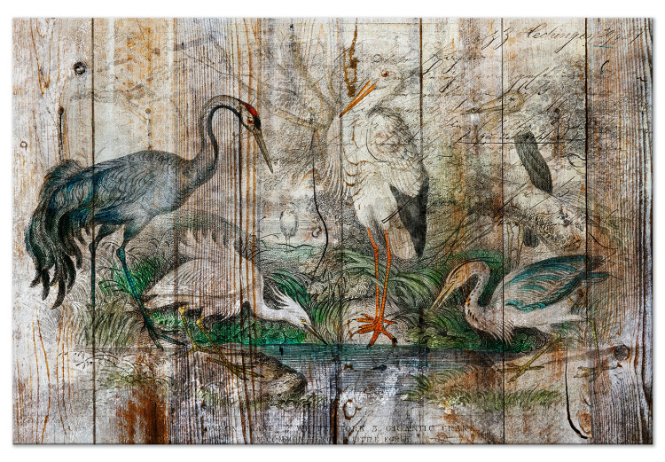 Canvas Print From the Chronicles of Nature - Graphics With Birds on Boards in a Vintage Style 145747