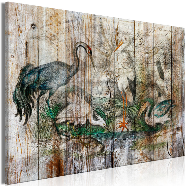 Canvas Print From the Chronicles of Nature - Graphics With Birds on Boards in a Vintage Style 145747 additionalImage 2