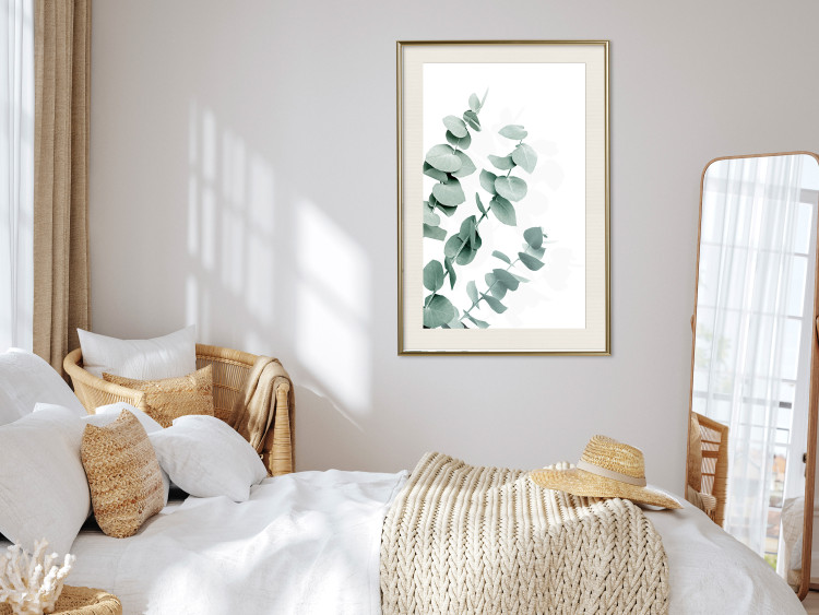 Wall Poster Eucalyptus Leaves - Minimalist Plant Twigs Isolated on White 146147 additionalImage 19