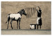 Acrylic print Zebra Washing on Concrete [Glass] 150847 additionalThumb 2
