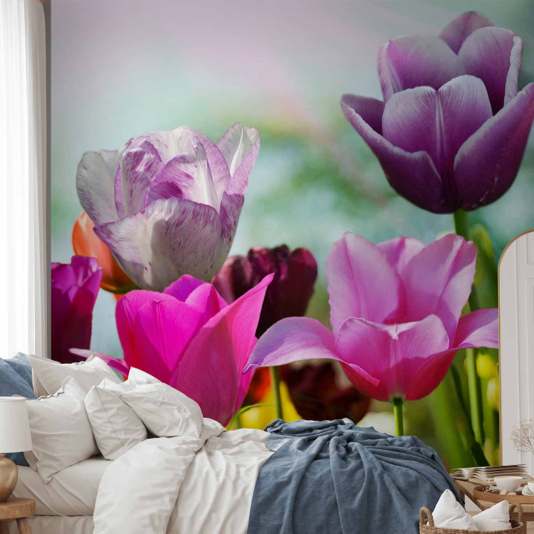 Photo Wallpaper Beautiful Spring Garden - Sunny Floral Motif with Tulip Flowers 60347 additionalImage 2