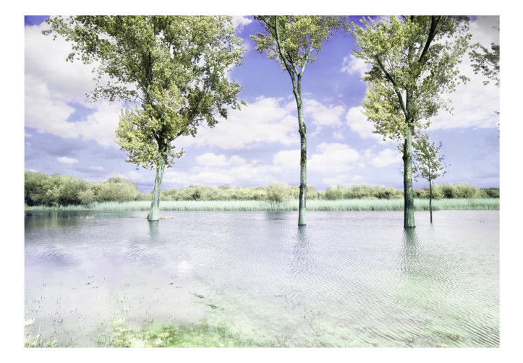 Wall Mural Spring Landscape - Landscape with Trees by the Lake and Blue Sky 60447 additionalImage 1