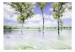 Wall Mural Spring Landscape - Landscape with Trees by the Lake and Blue Sky 60447 additionalThumb 1