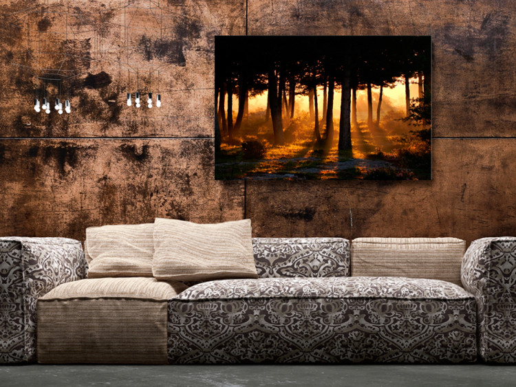 Canvas Forest Dawn 93147 additionalImage 3