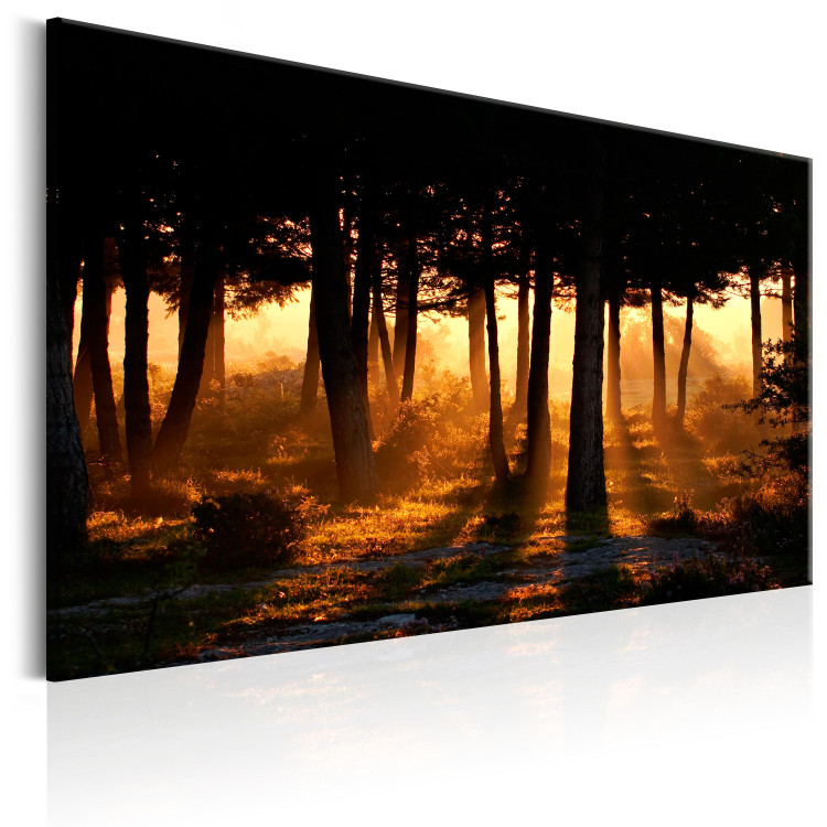 Canvas Forest Dawn 93147 additionalImage 2