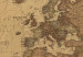 Decorative Pinboard Stylish World Map [Cork Map] 95947 additionalThumb 6