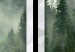 Wall Poster Memory cards - landscape of dense forest in the mist in several frames 114357 additionalThumb 10