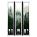 Wall Poster Memory cards - landscape of dense forest in the mist in several frames 114357