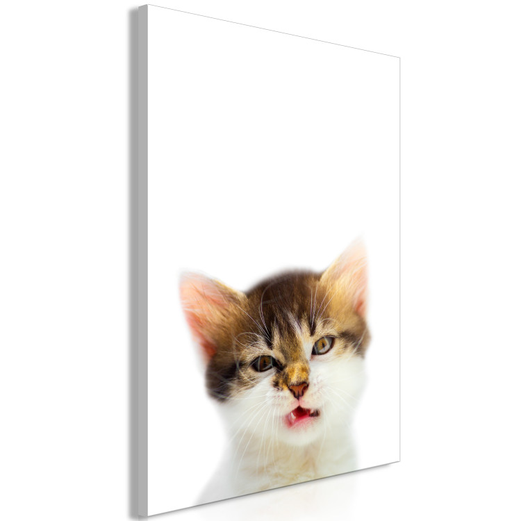 Canvas Print Cat Style (1-part) - Domestic Animal with a Touch of Wildness in Focus 114957 additionalImage 2