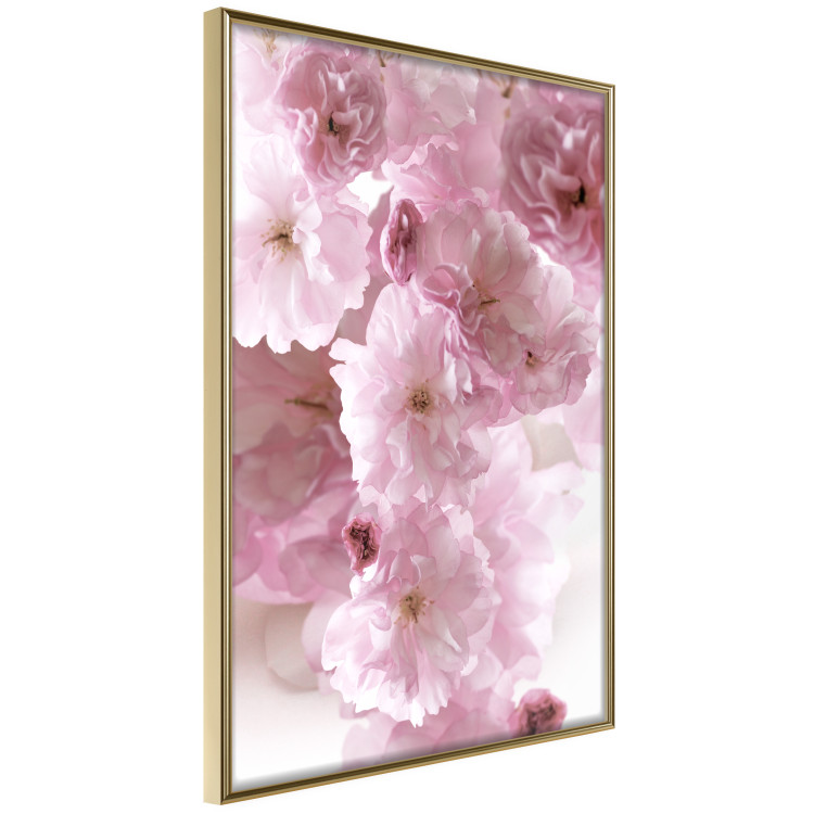 Wall Poster Floral Mist - landscape with many pink flowers on a white background 122857 additionalImage 14