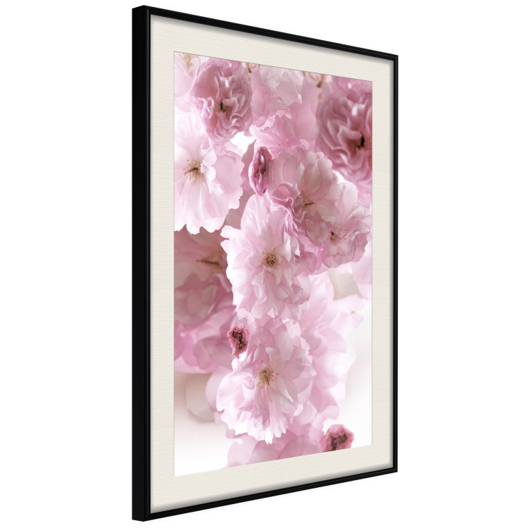 Wall Poster Floral Mist - landscape with many pink flowers on a white background 122857 additionalImage 3