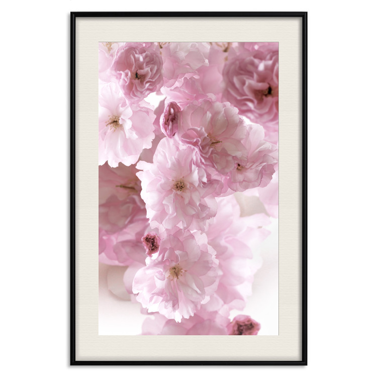 Wall Poster Floral Mist - landscape with many pink flowers on a white background 122857 additionalImage 18