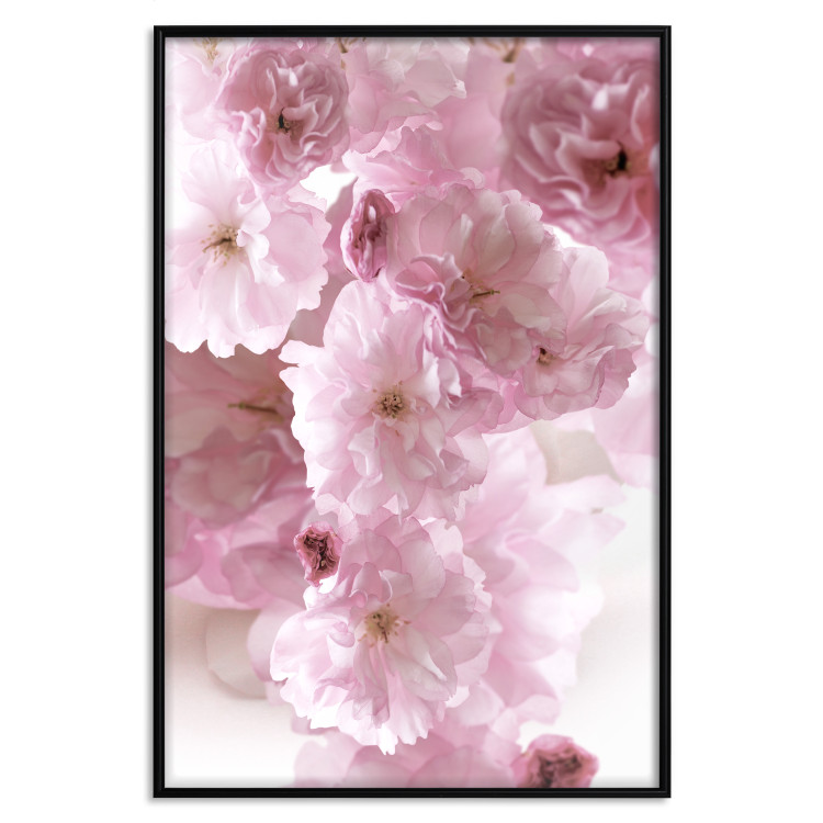 Wall Poster Floral Mist - landscape with many pink flowers on a white background 122857 additionalImage 24