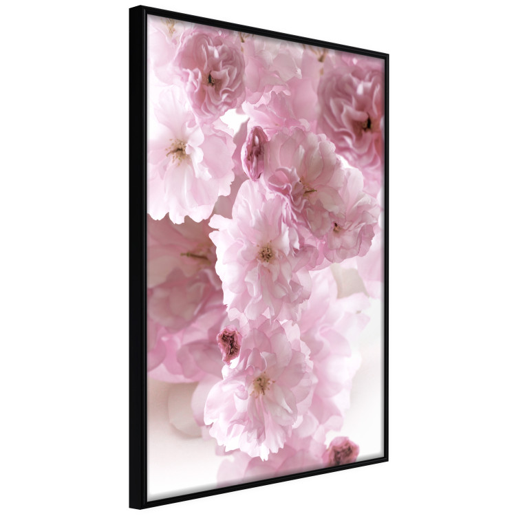 Wall Poster Floral Mist - landscape with many pink flowers on a white background 122857 additionalImage 12