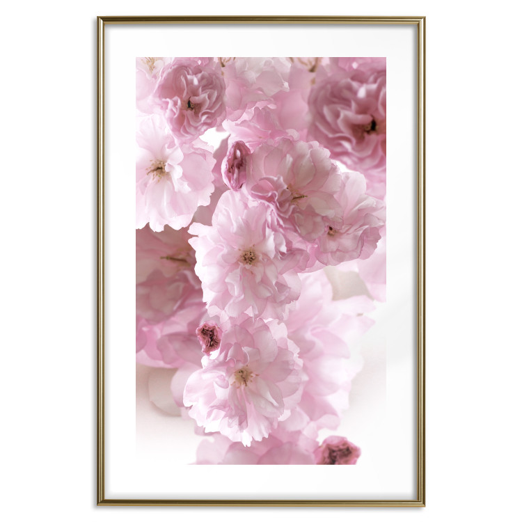 Wall Poster Floral Mist - landscape with many pink flowers on a white background 122857 additionalImage 14