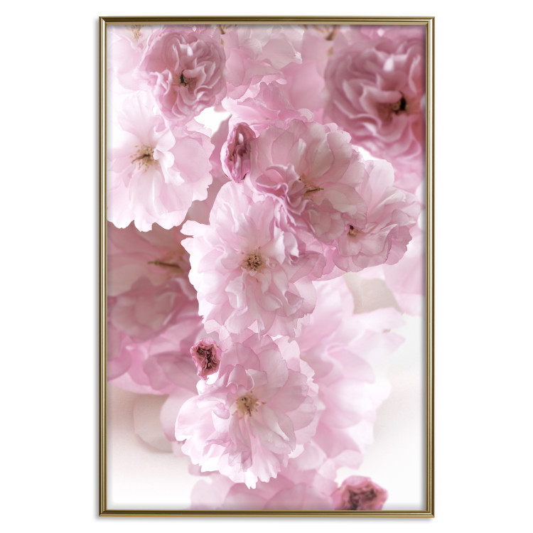 Wall Poster Floral Mist - landscape with many pink flowers on a white background 122857 additionalImage 16