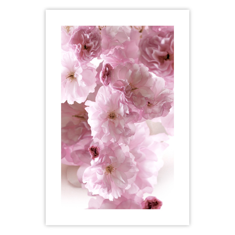 Wall Poster Floral Mist - landscape with many pink flowers on a white background 122857 additionalImage 25