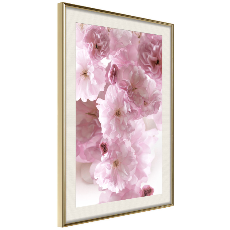 Wall Poster Floral Mist - landscape with many pink flowers on a white background 122857 additionalImage 2