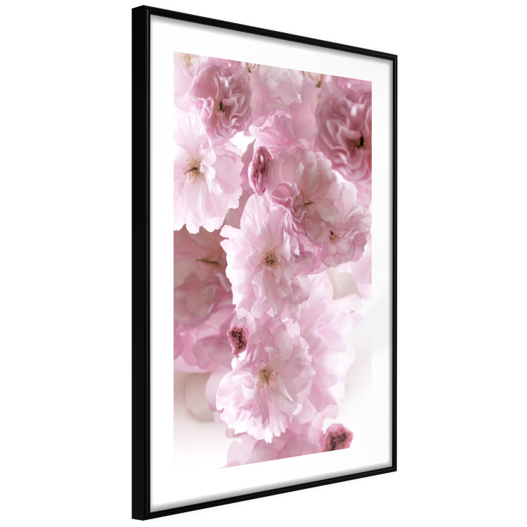 Wall Poster Floral Mist - landscape with many pink flowers on a white background 122857 additionalImage 13