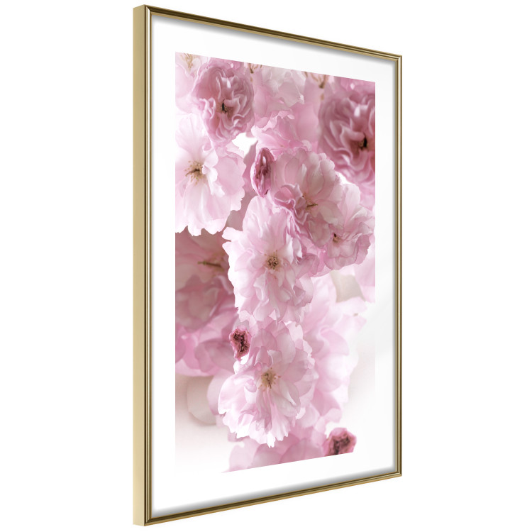 Wall Poster Floral Mist - landscape with many pink flowers on a white background 122857 additionalImage 8