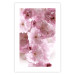 Wall Poster Floral Mist - landscape with many pink flowers on a white background 122857 additionalThumb 25