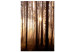 Canvas Art Print Forest Paths (1 Part) Vertical 123757