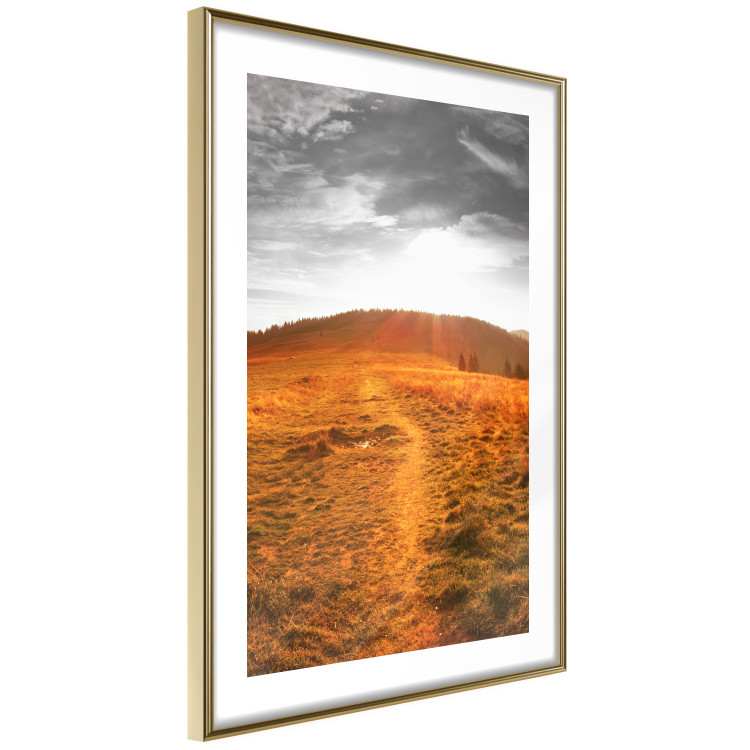 Wall Poster Idyll - nature landscape against meadow backdrop in sunlight 123857 additionalImage 6