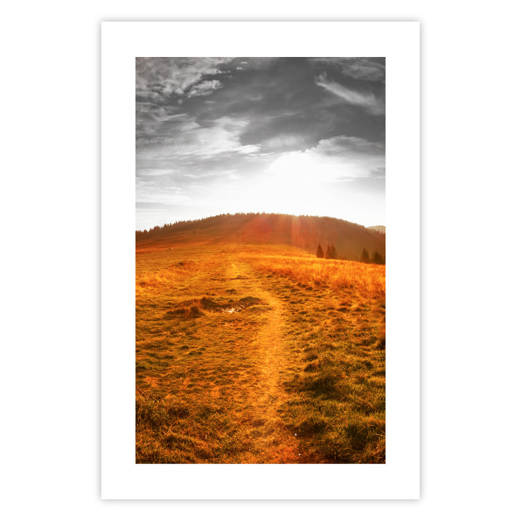 Wall Poster Idyll - nature landscape against meadow backdrop in sunlight 123857 additionalImage 19