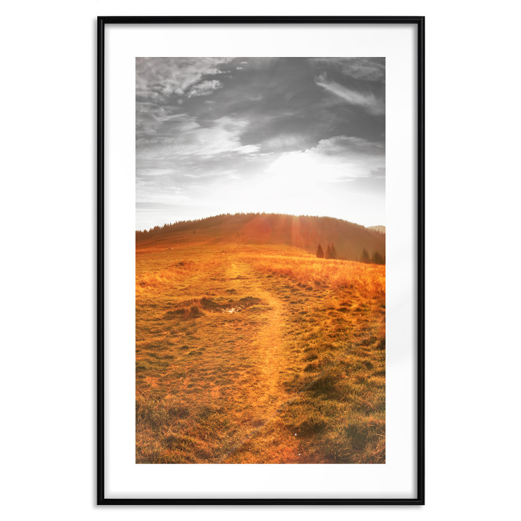 Wall Poster Idyll - nature landscape against meadow backdrop in sunlight 123857 additionalImage 15