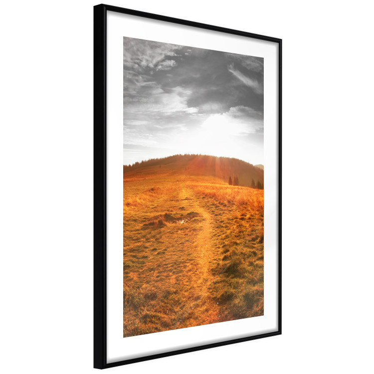 Wall Poster Idyll - nature landscape against meadow backdrop in sunlight 123857 additionalImage 11