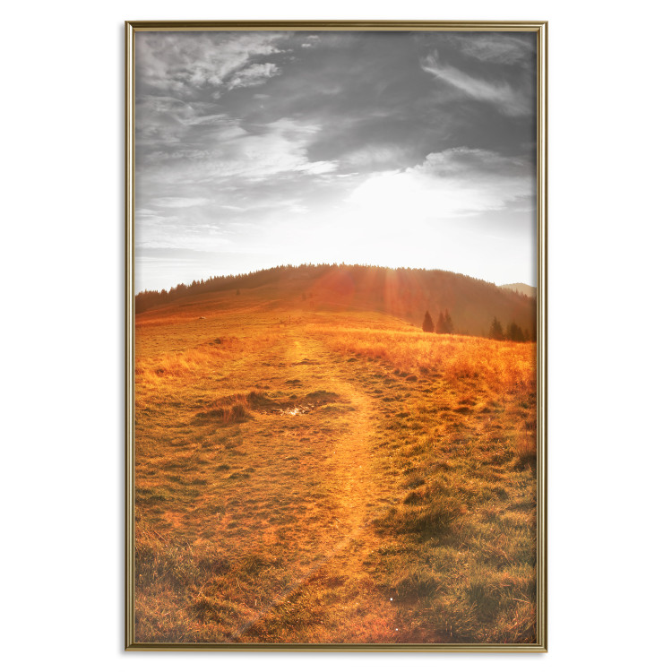 Wall Poster Idyll - nature landscape against meadow backdrop in sunlight 123857 additionalImage 16