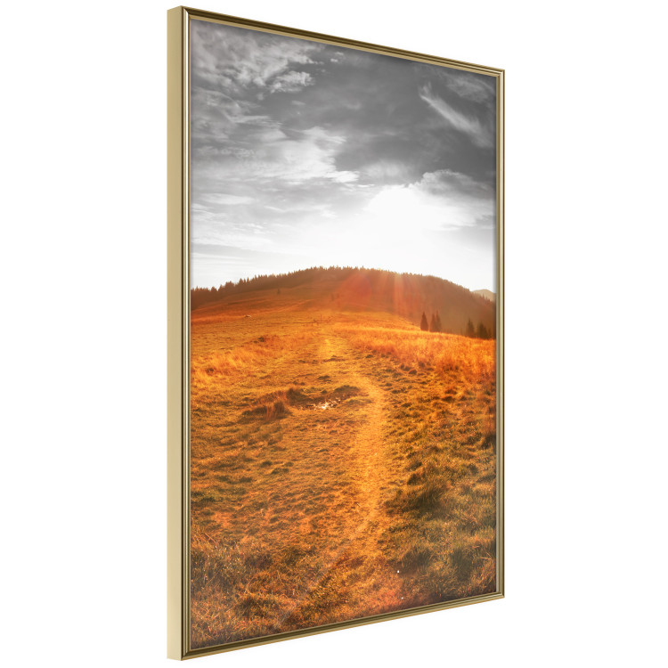 Wall Poster Idyll - nature landscape against meadow backdrop in sunlight 123857 additionalImage 12