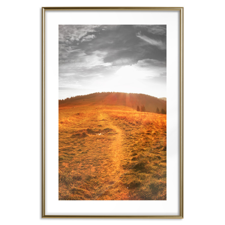 Wall Poster Idyll - nature landscape against meadow backdrop in sunlight 123857 additionalImage 14