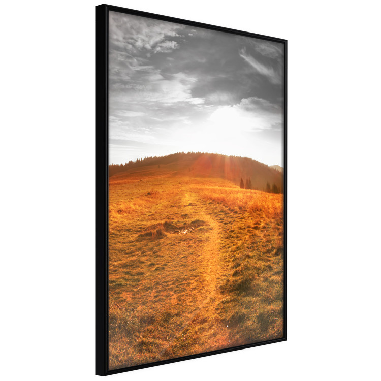Wall Poster Idyll - nature landscape against meadow backdrop in sunlight 123857 additionalImage 10