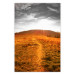 Wall Poster Idyll - nature landscape against meadow backdrop in sunlight 123857