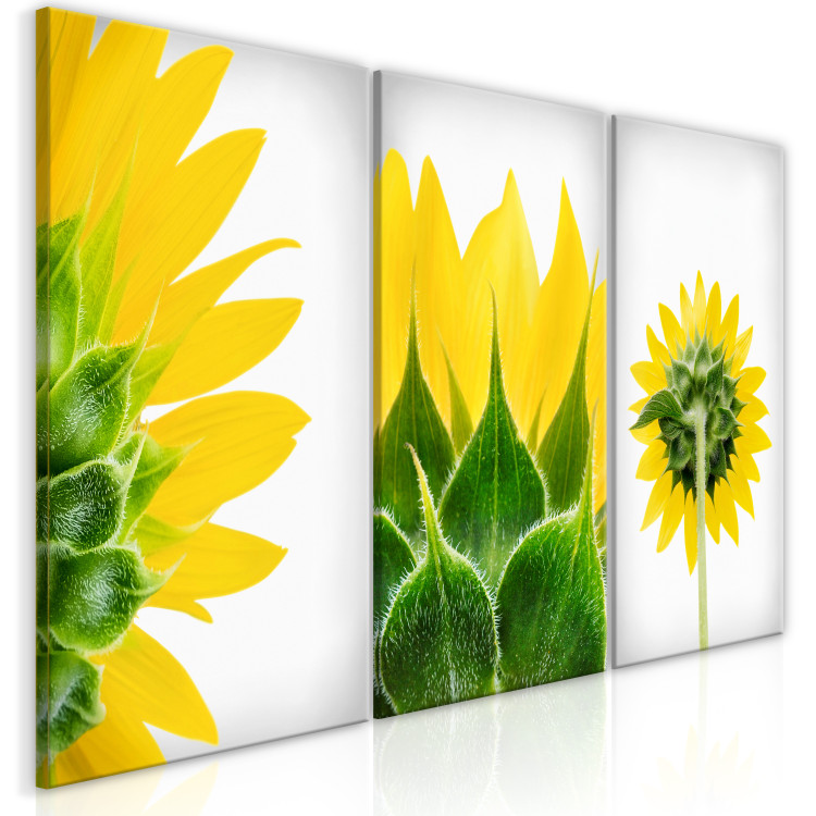 Canvas Sunny Shapes (3 Parts) 124357 additionalImage 2